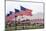 USA, Cemetery, Memorial-Day, Flags-Catharina Lux-Mounted Photographic Print