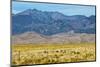 USA, Colorado, Alamosa, Great Sand Dunes National Park and Preserve-Bernard Friel-Mounted Photographic Print