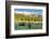 USA, Colorado, Arapaho NF. Three Male Moose Grazing on Bushes-Cathy & Gordon Illg-Framed Photographic Print