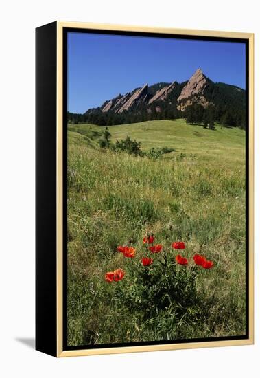 USA, Colorado, Boulder. Flatirons and Poppies at Chautauqua Park-Jaynes Gallery-Framed Premier Image Canvas