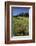 USA, Colorado, Boulder. Flatirons and Poppies at Chautauqua Park-Jaynes Gallery-Framed Photographic Print