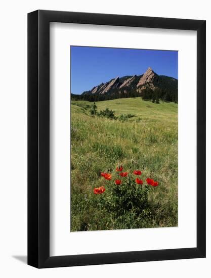 USA, Colorado, Boulder. Flatirons and Poppies at Chautauqua Park-Jaynes Gallery-Framed Photographic Print