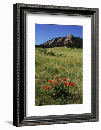 USA, Colorado, Boulder. Flatirons and Poppies at Chautauqua Park-Jaynes Gallery-Framed Photographic Print