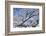 USA, Colorado, Boulder. Winter Scenic-Jaynes Gallery-Framed Photographic Print