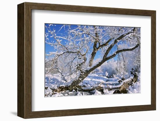USA, Colorado, Boulder. Winter Scenic-Jaynes Gallery-Framed Photographic Print