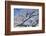 USA, Colorado, Boulder. Winter Scenic-Jaynes Gallery-Framed Photographic Print