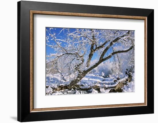 USA, Colorado, Boulder. Winter Scenic-Jaynes Gallery-Framed Photographic Print