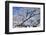 USA, Colorado, Boulder. Winter Scenic-Jaynes Gallery-Framed Photographic Print