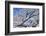 USA, Colorado, Boulder. Winter Scenic-Jaynes Gallery-Framed Photographic Print