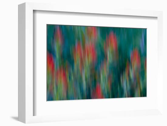 USA, Colorado, Crested Butte. Flower Abstract-Jaynes Gallery-Framed Photographic Print