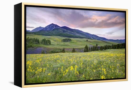 USA, Colorado, Crested Butte. Landscape of wildflowers and mountain.-Dennis Flaherty-Framed Premier Image Canvas