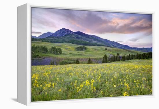 USA, Colorado, Crested Butte. Landscape of wildflowers and mountain.-Dennis Flaherty-Framed Premier Image Canvas