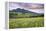 USA, Colorado, Crested Butte. Landscape of wildflowers and mountain.-Dennis Flaherty-Framed Premier Image Canvas