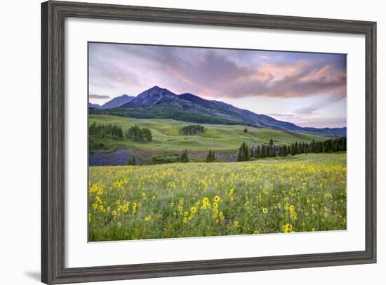 USA, Colorado, Crested Butte. Landscape of wildflowers and mountain.-Dennis Flaherty-Framed Photographic Print