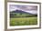 USA, Colorado, Crested Butte. Landscape of wildflowers and mountain.-Dennis Flaherty-Framed Photographic Print