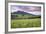 USA, Colorado, Crested Butte. Landscape of wildflowers and mountain.-Dennis Flaherty-Framed Photographic Print