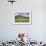 USA, Colorado, Crested Butte. Landscape of wildflowers and mountain.-Dennis Flaherty-Framed Photographic Print displayed on a wall