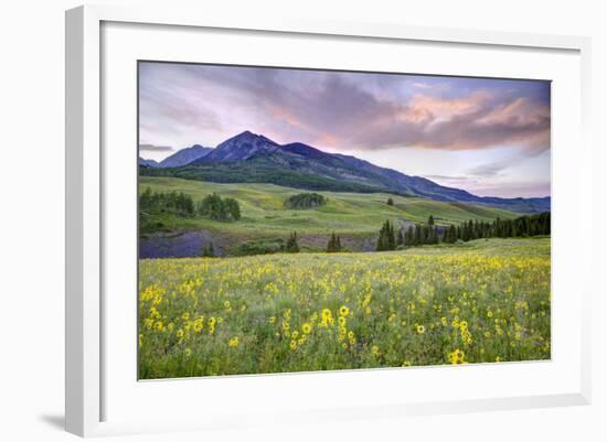 USA, Colorado, Crested Butte. Landscape of wildflowers and mountain.-Dennis Flaherty-Framed Photographic Print