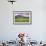 USA, Colorado, Crested Butte. Landscape of wildflowers and mountain.-Dennis Flaherty-Framed Photographic Print displayed on a wall