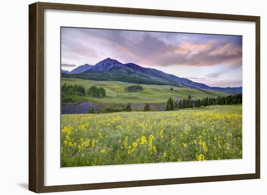 USA, Colorado, Crested Butte. Landscape of wildflowers and mountain.-Dennis Flaherty-Framed Photographic Print