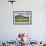 USA, Colorado, Crested Butte. Landscape of wildflowers and mountain.-Dennis Flaherty-Framed Photographic Print displayed on a wall