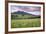 USA, Colorado, Crested Butte. Landscape of wildflowers and mountain.-Dennis Flaherty-Framed Photographic Print