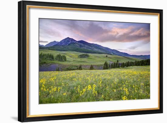 USA, Colorado, Crested Butte. Landscape of wildflowers and mountain.-Dennis Flaherty-Framed Photographic Print