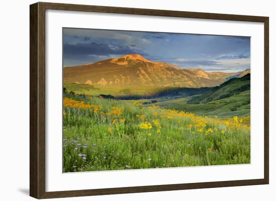 USA, Colorado, Crested Butte. Landscape of wildflowers and mountain.-Dennis Flaherty-Framed Photographic Print