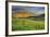 USA, Colorado, Crested Butte. Landscape of wildflowers and mountain.-Dennis Flaherty-Framed Photographic Print