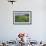 USA, Colorado, Crested Butte. Landscape of wildflowers and mountain.-Dennis Flaherty-Framed Photographic Print displayed on a wall