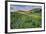 USA, Colorado, Crested Butte. Landscape of wildflowers and mountain.-Dennis Flaherty-Framed Photographic Print