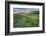 USA, Colorado, Crested Butte. Landscape of wildflowers and mountain.-Dennis Flaherty-Framed Photographic Print