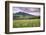 USA, Colorado, Crested Butte. Landscape of wildflowers and mountain.-Dennis Flaherty-Framed Photographic Print