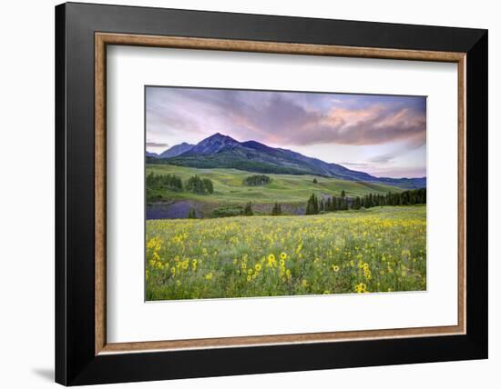 USA, Colorado, Crested Butte. Landscape of wildflowers and mountain.-Dennis Flaherty-Framed Photographic Print