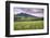 USA, Colorado, Crested Butte. Landscape of wildflowers and mountain.-Dennis Flaherty-Framed Photographic Print