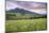 USA, Colorado, Crested Butte. Landscape of wildflowers and mountain.-Dennis Flaherty-Mounted Photographic Print