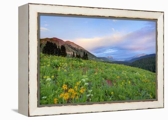 USA, Colorado, Crested Butte. Landscape of wildflowers and mountains.-Dennis Flaherty-Framed Premier Image Canvas