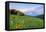 USA, Colorado, Crested Butte. Landscape of wildflowers and mountains.-Dennis Flaherty-Framed Premier Image Canvas