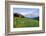 USA, Colorado, Crested Butte. Landscape of wildflowers and mountains.-Dennis Flaherty-Framed Photographic Print