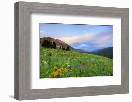 USA, Colorado, Crested Butte. Landscape of wildflowers and mountains.-Dennis Flaherty-Framed Photographic Print