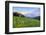 USA, Colorado, Crested Butte. Landscape of wildflowers and mountains.-Dennis Flaherty-Framed Photographic Print