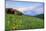 USA, Colorado, Crested Butte. Landscape of wildflowers and mountains.-Dennis Flaherty-Mounted Photographic Print