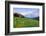 USA, Colorado, Crested Butte. Landscape of wildflowers and mountains.-Dennis Flaherty-Framed Photographic Print