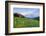 USA, Colorado, Crested Butte. Landscape of wildflowers and mountains.-Dennis Flaherty-Framed Photographic Print