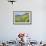 USA, Colorado, Crested Butte. Landscape of wildflowers on hillside.-Dennis Flaherty-Framed Photographic Print displayed on a wall