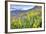 USA, Colorado, Crested Butte. Landscape of wildflowers on hillside.-Dennis Flaherty-Framed Photographic Print