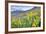 USA, Colorado, Crested Butte. Landscape of wildflowers on hillside.-Dennis Flaherty-Framed Photographic Print