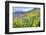 USA, Colorado, Crested Butte. Landscape of wildflowers on hillside.-Dennis Flaherty-Framed Photographic Print