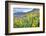 USA, Colorado, Crested Butte. Landscape of wildflowers on hillside.-Dennis Flaherty-Framed Photographic Print