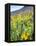 USA, Colorado, Crested Butte. Wildflowers covering hillside.-Jaynes Gallery-Framed Premier Image Canvas